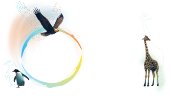 The drone light show logo