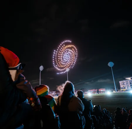 Wild drone light show