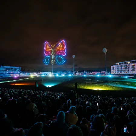 Wild drone light show