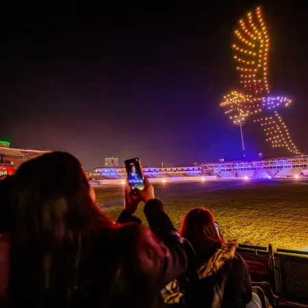 Wild drone light show
