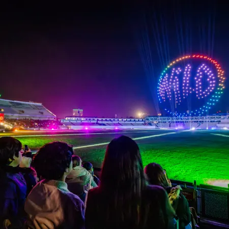 Wild drone light show